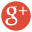 Google+ icon